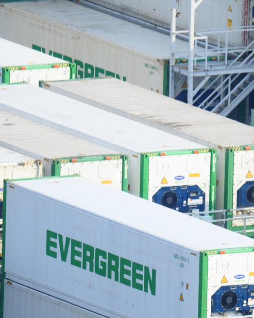 Perishables and reefer logistics in Sri Lanka